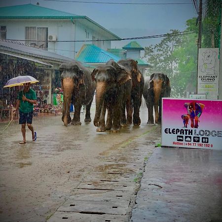 Elepath Lodge- Pinnawala ピンナワラ エクステリア 写真